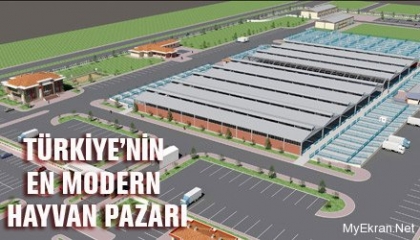 hayvan_pazari_0